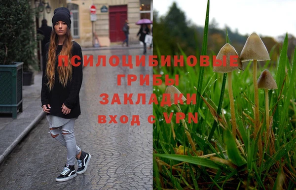 ALPHA-PVP Богородск