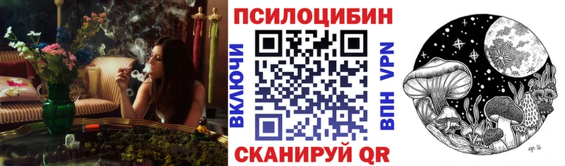 ссылка на мегу ТОР  Боготол  мориарти Telegram  Псилоцибиновые грибы Magic Shrooms 